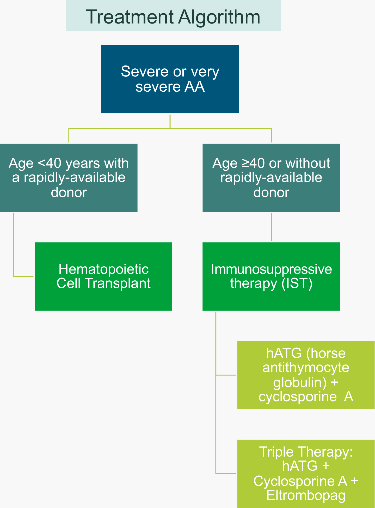 Treatment Algorithm, Severe or very severe AA, Age less than 40 years with a rapidly-available donor, Age more or equal 40 or without rapidly available donor, Hematopoietic Cell Transplant, Immunosuppressive therapy (IST), hATG (horse antithymocyte globulin) + cyclosporine A, Triple Therapy: hATG + Cyclosporine A + Eltrombopag