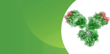 Biologics Research drawing