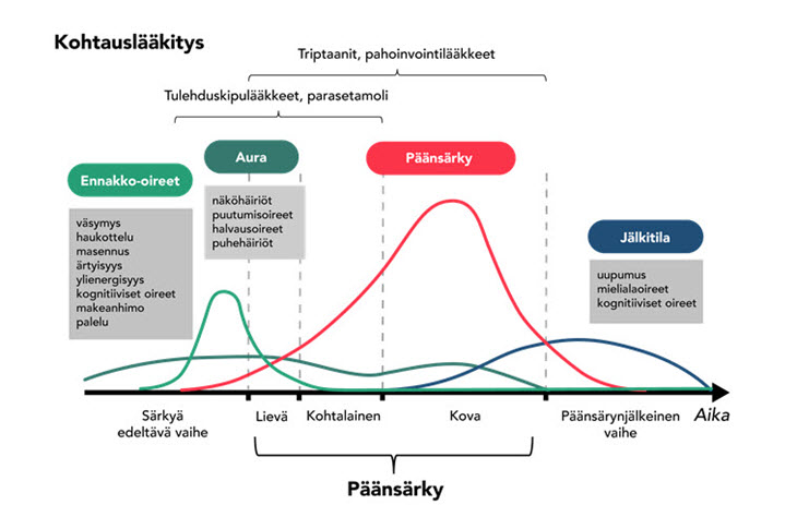 Kohtausl&auml;&auml;kitys Triptaanit, pahoinvointl&auml;&auml;kkeet; Tulehduskipul&auml;&auml;kkeet, parasetamoli; Ennakkoo-oireet - v&auml;symys, kaukottelu, massennus, &auml;rtyisyys, ylinergisyys, kognitiiviset oireet, makeanhimo, palelu; Aura - n&auml;k&ouml;h&auml;it&ouml;t, puutumisoireet, halvausoireet, puheh&auml;iri&ouml;t; P&auml;&auml;ns&auml;rky; J&auml;lkitila - uupumus, mielialoireet, kognitiiviset oireet