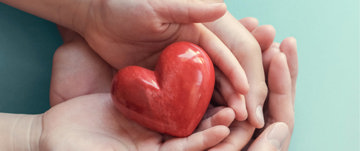 A pair of hands gently holding a vibrant red heart.