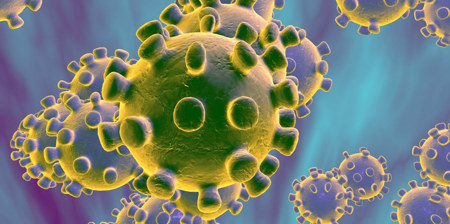 Covid 19 virus 