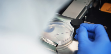 hand in laboratory