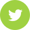 twitter icon