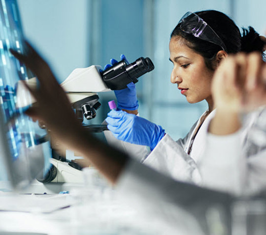 Scientist examining a sample